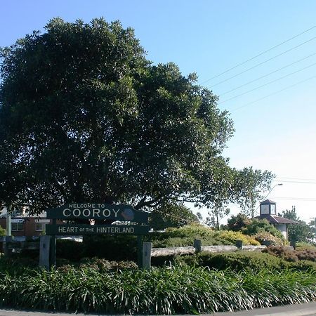 Cooroy Luxury Motel Apartments Dış mekan fotoğraf