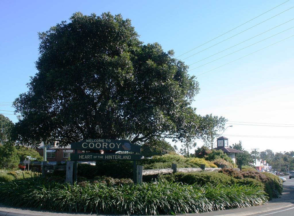 Cooroy Luxury Motel Apartments Dış mekan fotoğraf